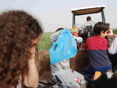 טיול פריחה חמנית