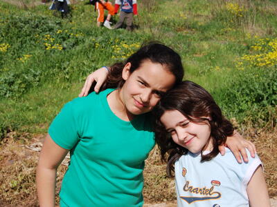 טיולי חמנית 2008