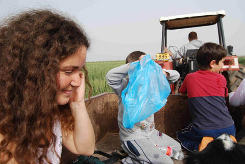 טיול פריחה חמנית