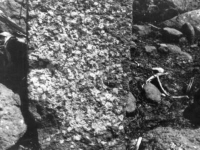 עתיקות כפר חרוב 1973