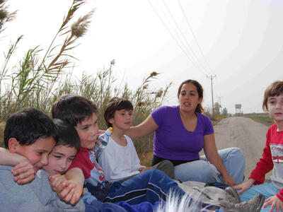 טיול פריחה חמנית