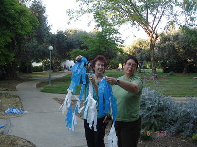 יום העצמאות 2008