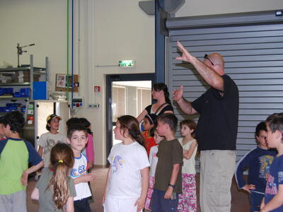 טיולי חמנית 2008
