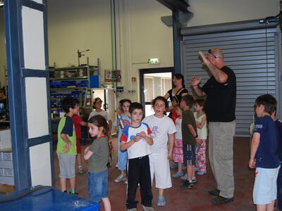 טיולי חמנית 2008