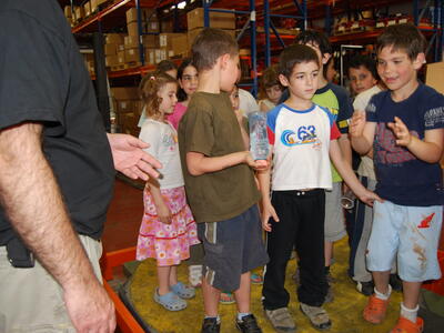 טיולי חמנית 2008