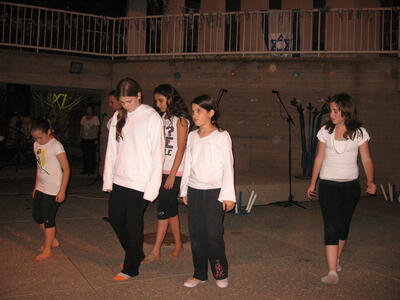 יום העצמאות 2008